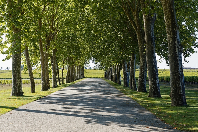 Balade avec Monique (Médoc et Blaye)-021